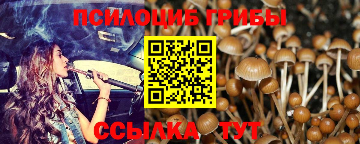 Галлюциногенные грибы мицелий Тольятти