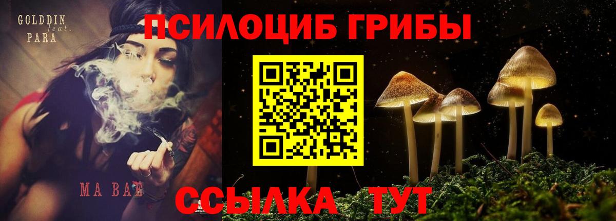 Галлюциногенные грибы мицелий  купить наркоту  Тольятти  Галлюциногенные грибы Psilocybe  Вход с VPN 